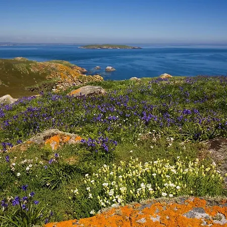 度假居 Hilltop Haven Kilmore Kilmore (Wexford)